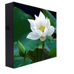 Màn hình LED P4 ngoài trời - LEDONE