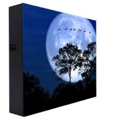 Màn hình LED P8 ngoài trời - LEDONE
