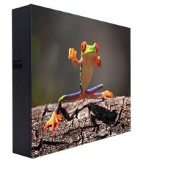 Màn hình LED P10 ngoài trời - LEDONE