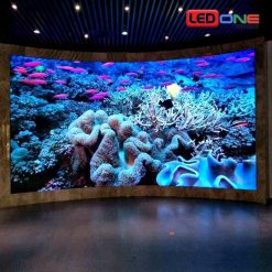 Màn Hình LED P3 Trong Nhà: Báo Giá & Lắp Đặt #1 (2026) | LEDONE - LEDONE