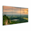 Màn Hình Ghép Châu Âu 49 Inch: Giải Pháp Hiển Thị Đẳng Cấp Cho Doanh Nghiệp 2026 - LEDONE