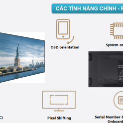 Màn Hình Ghép Châu Âu 49 Inch: Giải Pháp Hiển Thị Đẳng Cấp Cho Doanh Nghiệp 2026 - LEDONE