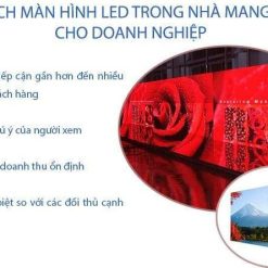 Màn Hình LED P1.6 Trong Nhà: Giải Pháp Hiển Thị Sắc Nét & Ưu Việt Nhất 2026 - LEDONE
