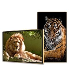 Màn Hình Quảng Cáo Châu Âu 49 Inch: Giải Pháp Smart Signage Hiệu Quả 2026 - LEDONE