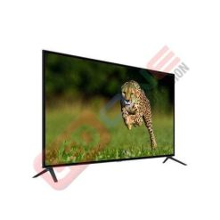Tivi cường lực 60 inch - LEDONE