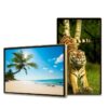 Màn hình quảng cáo Châu Âu 43 inch Smart Signage Display - LEDONE
