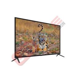 Tivi cường lực 55 inch - LEDONE