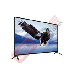 Tivi cường lực 43 inch – CYL-TV4320 - LEDONE