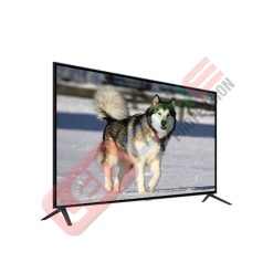Tivi cường lực 50 inch – CYL-TV50 - LEDONE