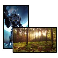Màn hình quảng cáo Châu Âu 49 inch Smart Signage Display - LEDONE