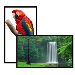 Màn hình quảng cáo Châu Âu 98 inch Professional UHD Signage Displays - LEDONE