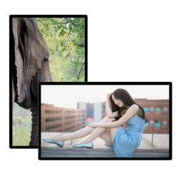 Màn hình quảng cáo Châu Âu 75 inch UHD Signage Displays Professional - LEDONE