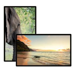 Màn hình quảng cáo Châu Âu 65 inch Ultra HD Signage Displays - LEDONE