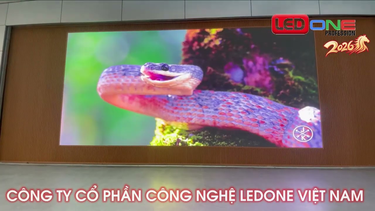 Thi công màn hình LED P3 ngoài trời cho Sân Khấu Trường Tiểu học Giảng Võ, Hà Nội - Dự án bởi LEDONE Miền Nam